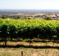 Braydun Hill Vineyard - Holiday Jervis Bay
