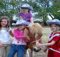 Amberainbow Pony Rides - Holiday Jervis Bay