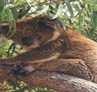 Mikkira Station - Holiday Jervis Bay