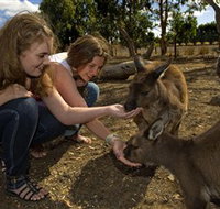 Kangaroo Island Wildlife Park - Holiday Jervis Bay
