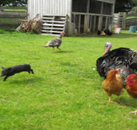 Echo Farm - Holiday Jervis Bay