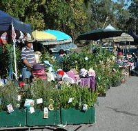 Meadows Monthly Market - Holiday Jervis Bay