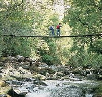 Arve Forest Drive - Holiday Jervis Bay