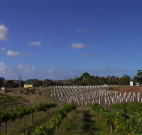 Deep Creek Wines and Alpacas - Holiday Jervis Bay