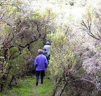 Jack And Hilda McArthur Walk - Holiday Jervis Bay