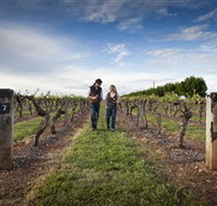 Coonawarra Wineries Walking Trail - Holiday Jervis Bay