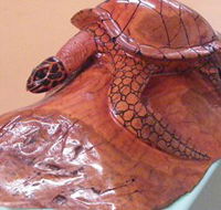 Ants Redgum Gallery - Holiday Jervis Bay