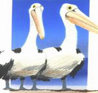 Bay of Shoals Wines - Holiday Jervis Bay