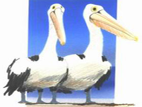 Bay Of Shoals Wines - Holiday Jervis Bay 0