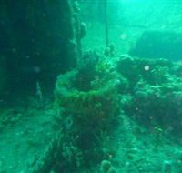 Wallaroo Scuba Club - Holiday Jervis Bay