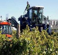 Ballast Stone Estate Wines Pty Ltd - Holiday Jervis Bay