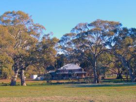 Old Wilpena Station - Holiday Jervis Bay 0