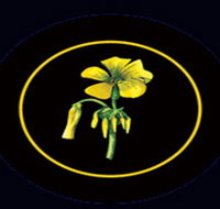 Battle of Bosworth Wines - Holiday Jervis Bay