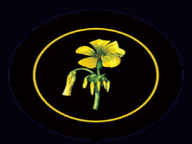 Battle Of Bosworth Wines - Holiday Jervis Bay 0