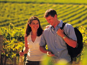 Lady Bay Vineyard - Holiday Jervis Bay 0
