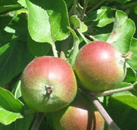 Sage Cooking School - Holiday Jervis Bay