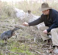 Sinclair's Gully - Holiday Jervis Bay