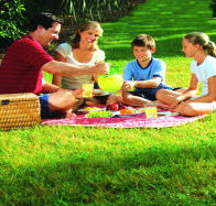 Bruny Island Berry Farm - Holiday Jervis Bay