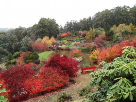 Emu Valley Rhododendron Garden - Holiday Jervis Bay 0
