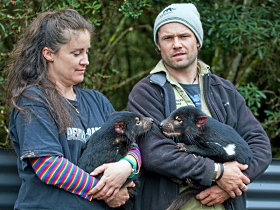 Devils@cradle - Holiday Jervis Bay 0