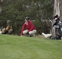 Tasmania Golf Club - The - Holiday Jervis Bay