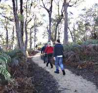 Bridport Walking Track - Holiday Jervis Bay
