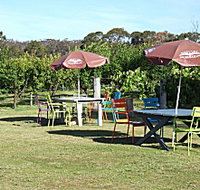 Cerise Brook Orchard  Family Golf - Holiday Jervis Bay
