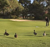 Royal Hobart Golf Club - Holiday Jervis Bay