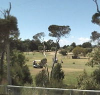 Greens Beach Golf Course - Holiday Jervis Bay