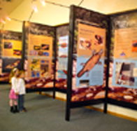 Platypus Experience - Holiday Jervis Bay