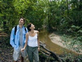 Mooloolah River National Park, Jowarra Section - Holiday Jervis Bay 0