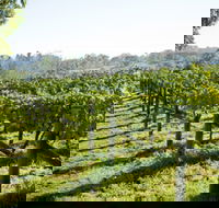 Surveyor's Hill Vineyards - Holiday Jervis Bay