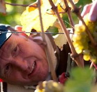 Puddleduck Vineyard - Holiday Jervis Bay