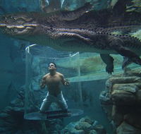 Crocosaurus Cove - Holiday Jervis Bay