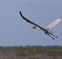 Gayngaru Wetlands Interpretive Walk - Holiday Jervis Bay