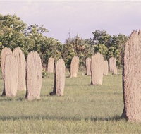 Magnetic Termite Mounds - Holiday Jervis Bay