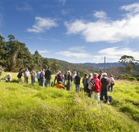 Apple Tree Park - Holiday Jervis Bay
