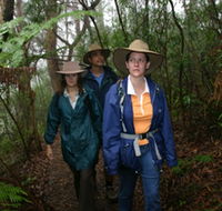 Mount Cougal Springbrook National Park - Holiday Jervis Bay