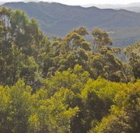 Conondale National Park - Holiday Jervis Bay