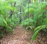 Delicia Road Conservation Park - Holiday Jervis Bay