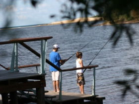 Currimundi Lake (Kathleen McArthur) Conservation Park - Holiday Jervis Bay 0