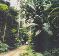 Conondale Great Walk - Holiday Jervis Bay