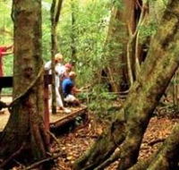 Mary Cairncross Scenic Reserve - Holiday Jervis Bay