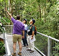 Daintree Discovery Centre - Holiday Jervis Bay