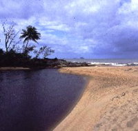 Russell River National Park - Holiday Jervis Bay