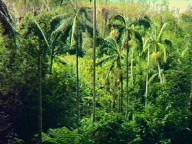 Monto QLD Holiday Jervis Bay