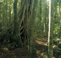 Mount Bithongabel - Holiday Jervis Bay