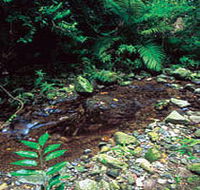 Wompoo Walk - Holiday Jervis Bay