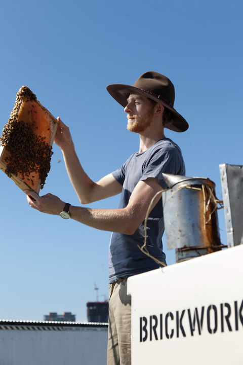 Brickworks Centre - Holiday Jervis Bay 10