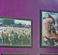 Charleville Photographic Display - Holiday Jervis Bay